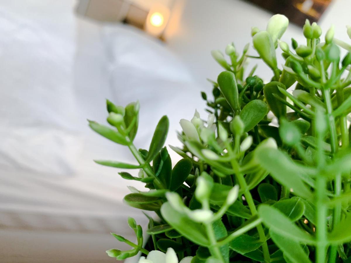 Relax Aachener Boardinghouse Appartements Premium 1 Exterior foto